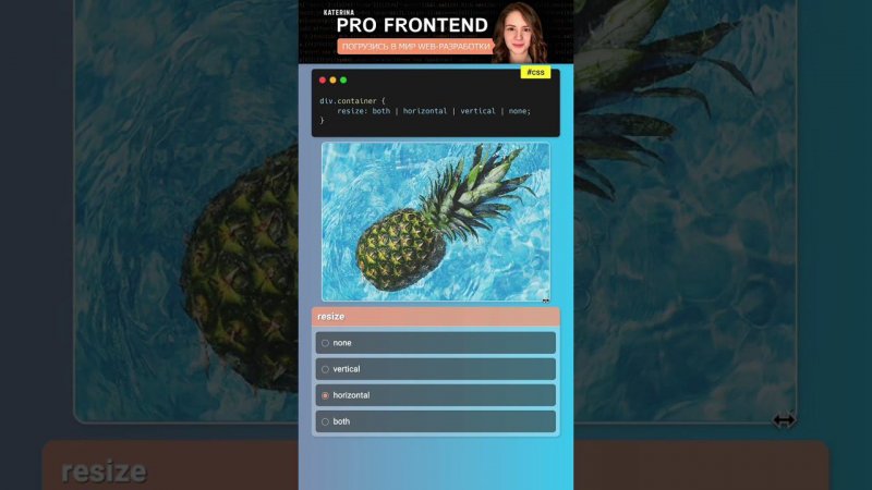 resize | CSS Property | CSS свойство #css #css3 #frontend #фронтенд #webdesign #webdevelopment