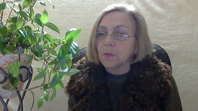 Размножение растений черенками.