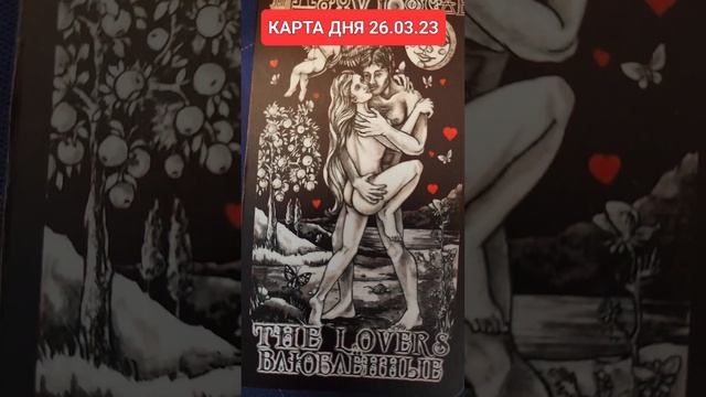 КАРТА ДНЯ 26.03.23