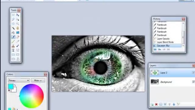 Paint.Net - How to add color to ONE item in a black and white image смотреть онлайн