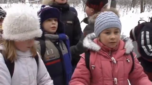 Лесные уроки в начальной школе. М.В.Прохоренкова
