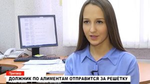 Должник по алиментам отправится за решётку