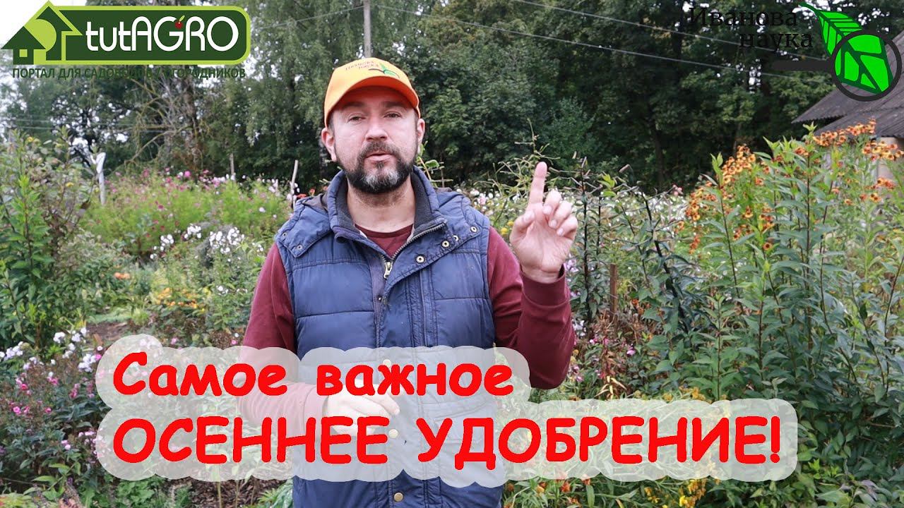 Это ОСЕННЕЕ УДОБРЕНИЕ улучшит плодородие, оздоровит участок и даст урожай. Как часто его применять?
