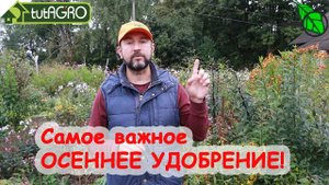 Это ОСЕННЕЕ УДОБРЕНИЕ улучшит плодородие, оздоровит участок и даст урожай. Как часто его применять?