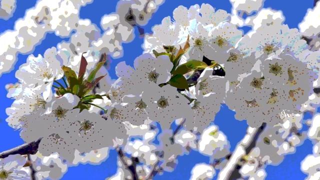 В парке Чаир. Популярная  песня  30-40-х годов.