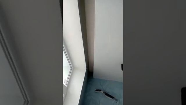 Ремонт квартиры под ключ от частного мастера смотреть онлайн