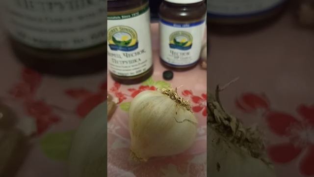 А можно жить без чеснока? А зачем употреблять чеснок? Что лучше чеснок или БАДы? смотреть онлайн