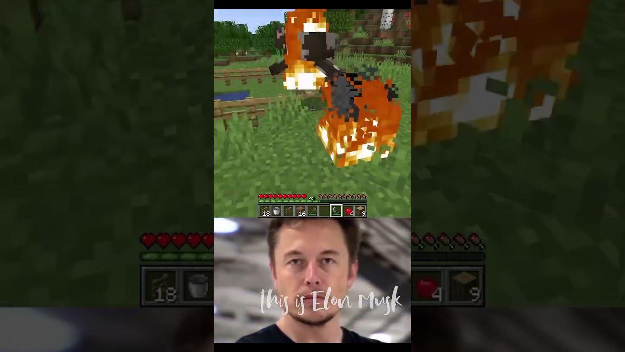 This is Elon Muskcafter #minecraft #майнкрафт смотреть онлайн