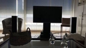 Dali Zensor 5 - Isoacoustics Gaia III