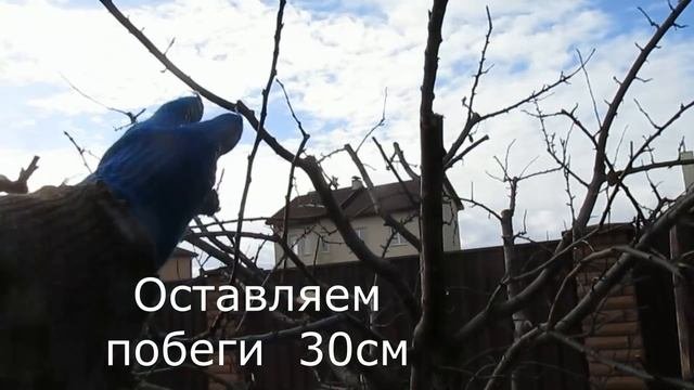 Об обрезке и обработке срезов.