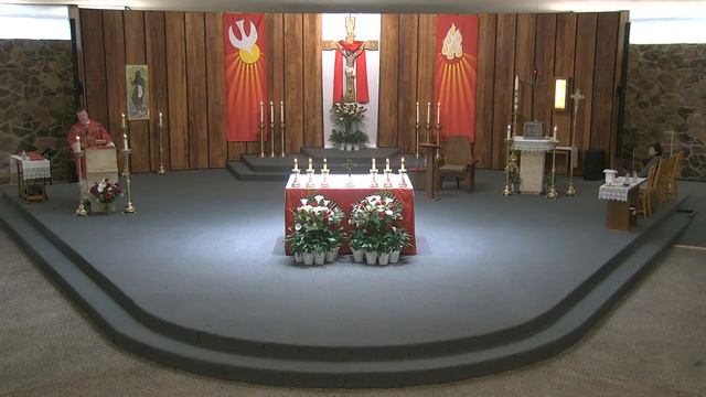 Memorial of Saint Barnabas, Apostle смотреть онлайн