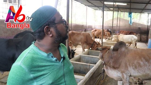 Cow farming | ষাঁড় গরুর খামারি ভবিষ্যতে গাভী গরু পালন করবেন কি কারনে জানতে দেখুন | Dairy farming смотреть онлайн