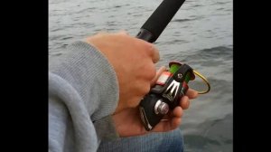 Рыбалка, на Балтике  Треска