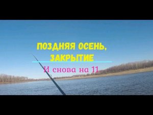 Трофейная щука. Как поймать?