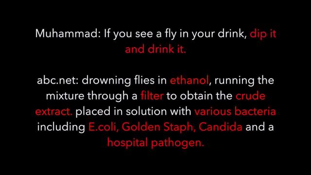 Refuting Yahya Snow On The Flies смотреть онлайн