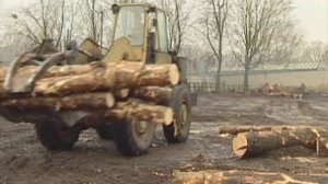 ПРИЧИНЫ ВЫМИРАНИЯ ВИДОВ