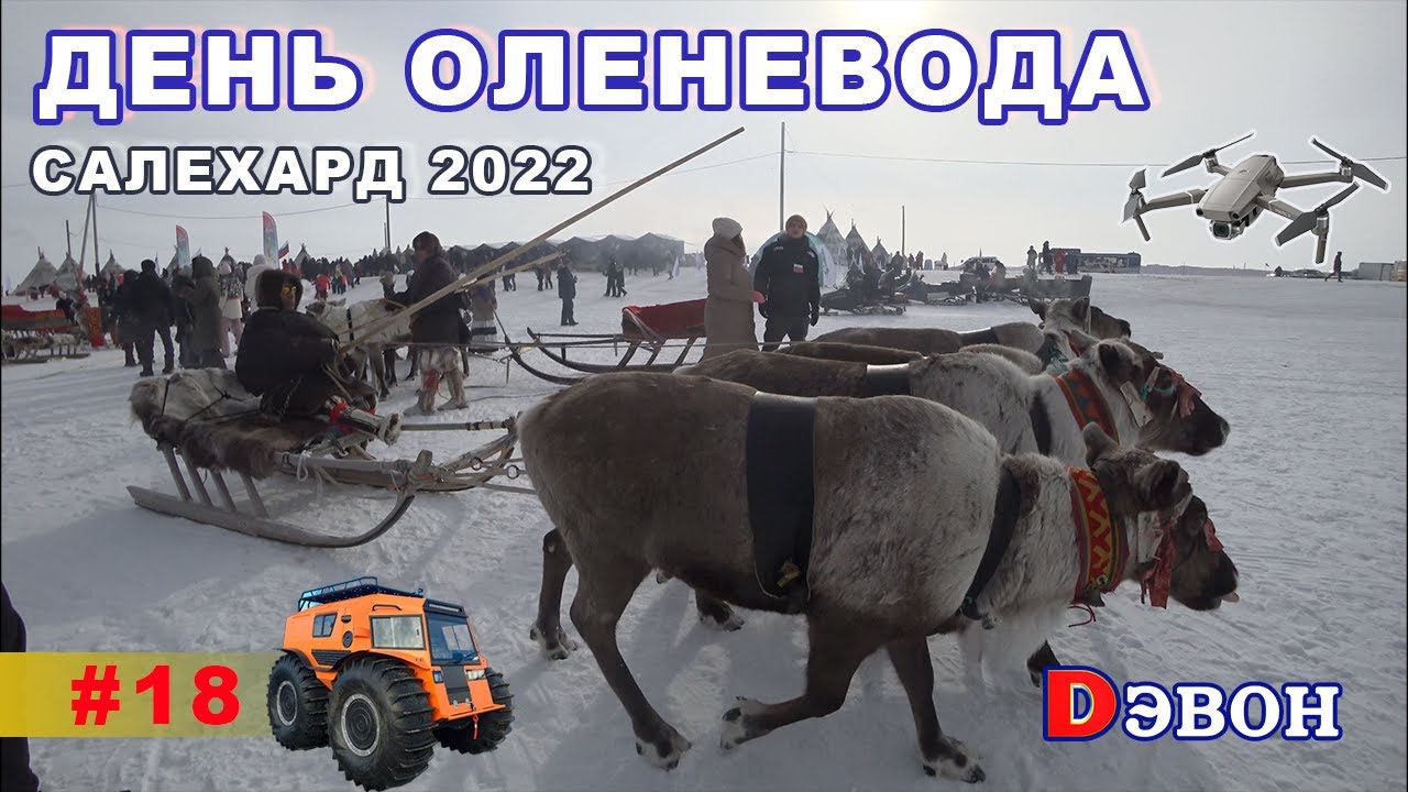 День оленевода. Салехард 2022.