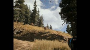 Far Cry 5 Тайник Сундук мертвеца
