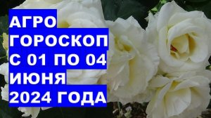 Агрогороскоп с 01 по 04 июня 2024 года Agrohoroscope from June 01 to June 04, 2024