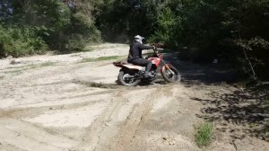 Рейсер форестер лт 200