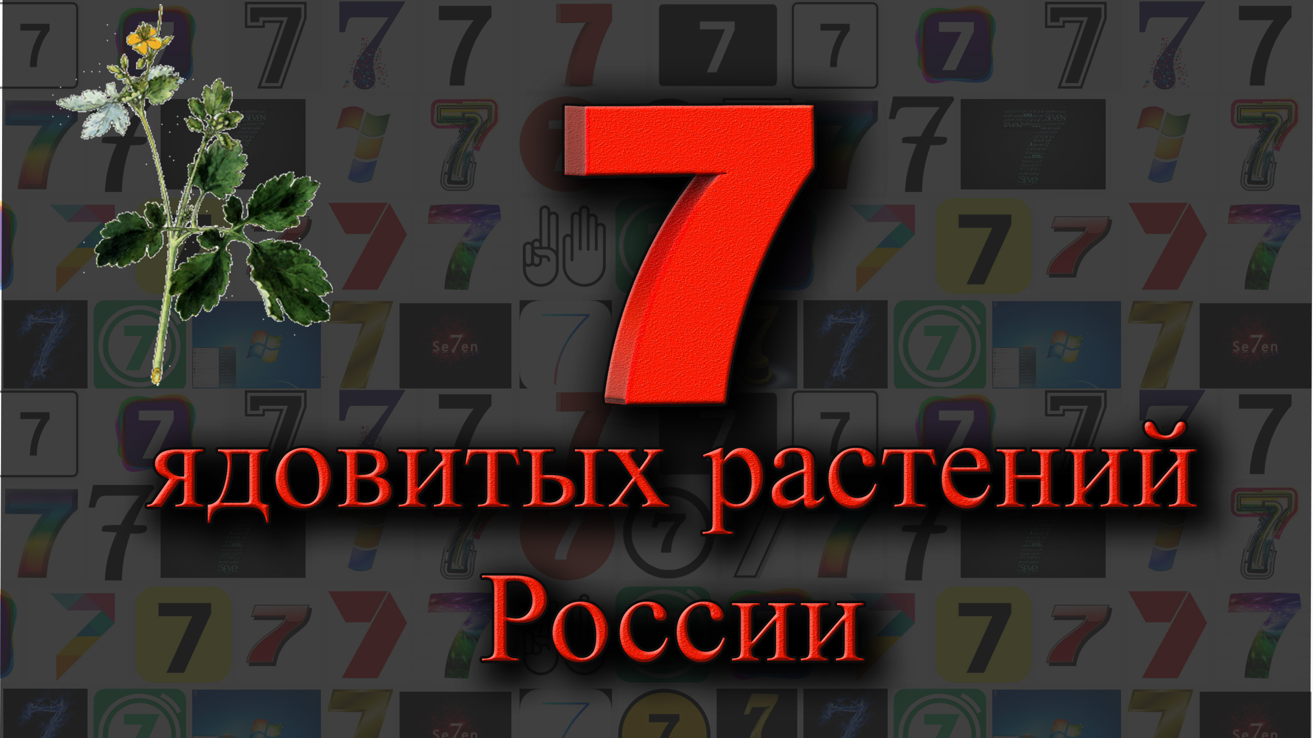 7 ядовитых растений России