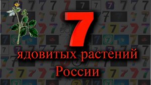 7 ядовитых растений России