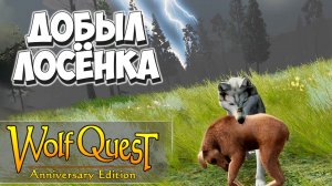 Юки-Юми ЖИВИ! WolfQuest: Anniversary Edition #16