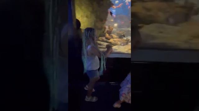 Знакомство с русалками🧜🏻♀️ смотреть онлайн