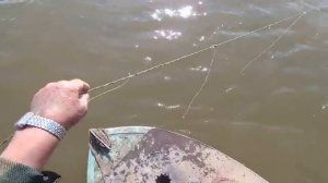 р.Обь.  Очередная  проверка  перемёта...