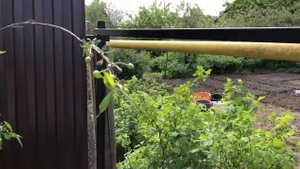 Прячемся от соседей. Забор из профнастила своими руками.