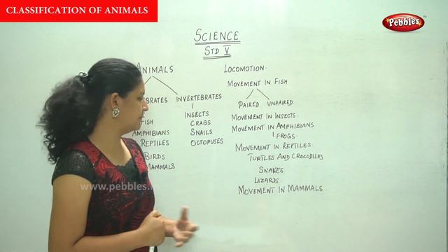 5th Std CBSE Science Syllabus | Classification of Animals | CBSE Syllabus Part -13