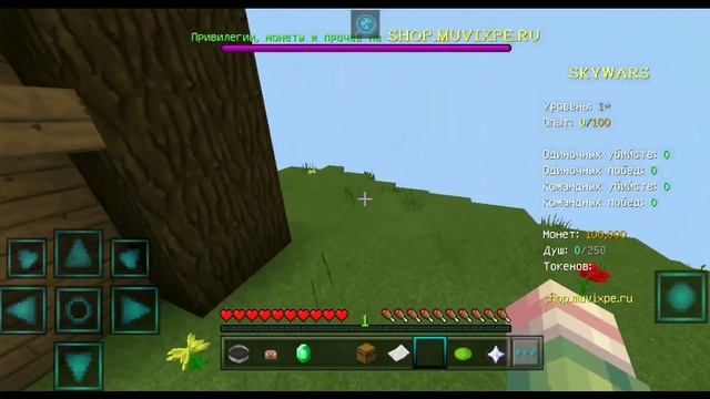 ХАЙПИКСЕЛЬ ДЛЯ МАЙНКРАФТ ПЕ 1.1.5 - 1.16! ХАЙПИКСЕЛЬ НА ТЕЛЕФОНЕ! | HYPIXEL MINECRAFT PE! смотреть онлайн