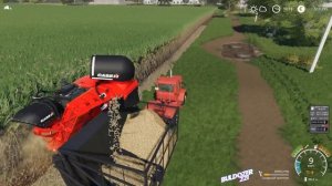 FS 2019 сахарный тростник сколько можно заработать ?  (sugar cane how much can you earn ?)