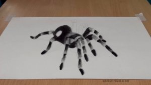 How to Draw 3D Spider - Anamorphic Illusion | Tarantula | Trick Art