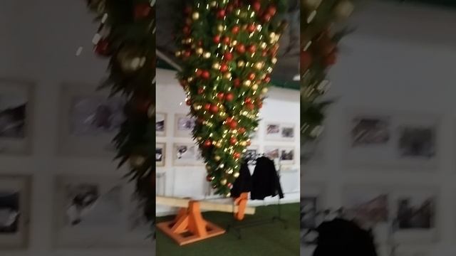 нау-хау #елка #потолок#смех#spruce#ceiling #laughter #гараевдамир #garaevdamir #shortsvideo #shorts