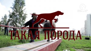 Такая порода