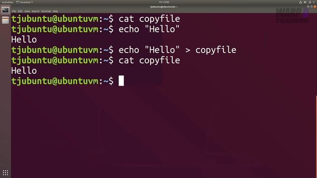 Linux Fast-Track For Beginners | Commands 101 | Echo | #021 смотреть онлайн