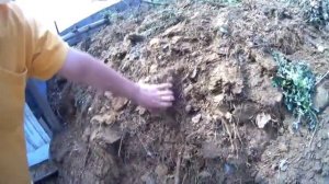 Опыт использования глубокой подстилки для птиц от Живых Бактерий