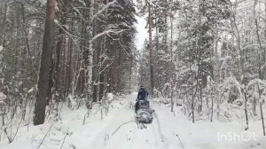 На буксе "Мужик" 100 км за 6 ч. Покормили  кабанчиков.