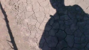 Медведи в Саратовской области есть!