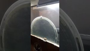 Ревизия, разборка и сборка электролизёра СЭУ-40.