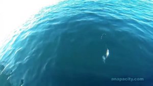 Отдых в Анапе в октябре — морские прогулки, рыбалка