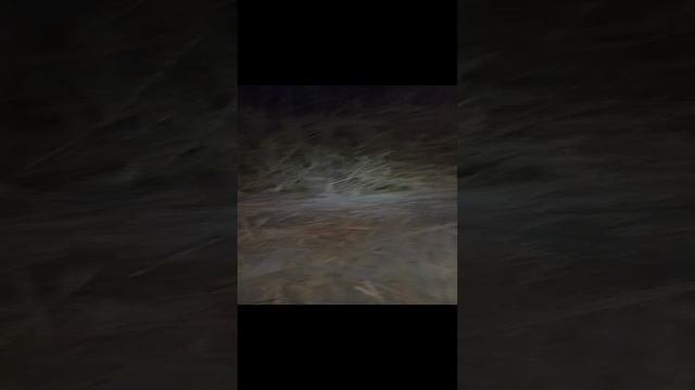 Тропа к подымалке