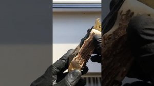 Нож складной охотничий с экстракторами Давыдково Заря СССР ранний (custom n3)