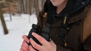 How Do You Setup a Binocular?