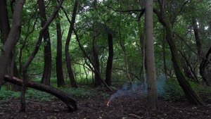 Взаимодействие оксида меди с алюминием ( CuO + Al ). / Copper oxide and aluminum