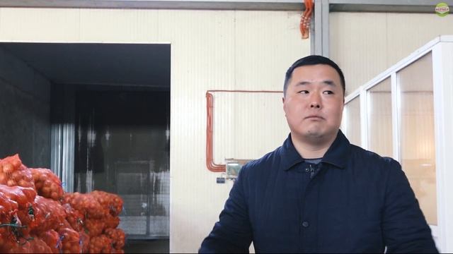 Какую овощную сетку выбрать для механизированной уборки лука? смотреть онлайн