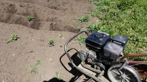 Каскад с дисковым окучником