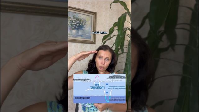 Контакт