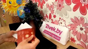 Распаковка - Электронная книга PocketBook 1004 InkPad X / PB1040-J-CIS